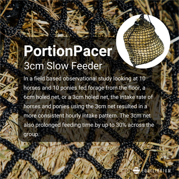 Equilibrium PortionPacer Small Holed Haynet (3cm) Safety Feeder EQB1692 - Black